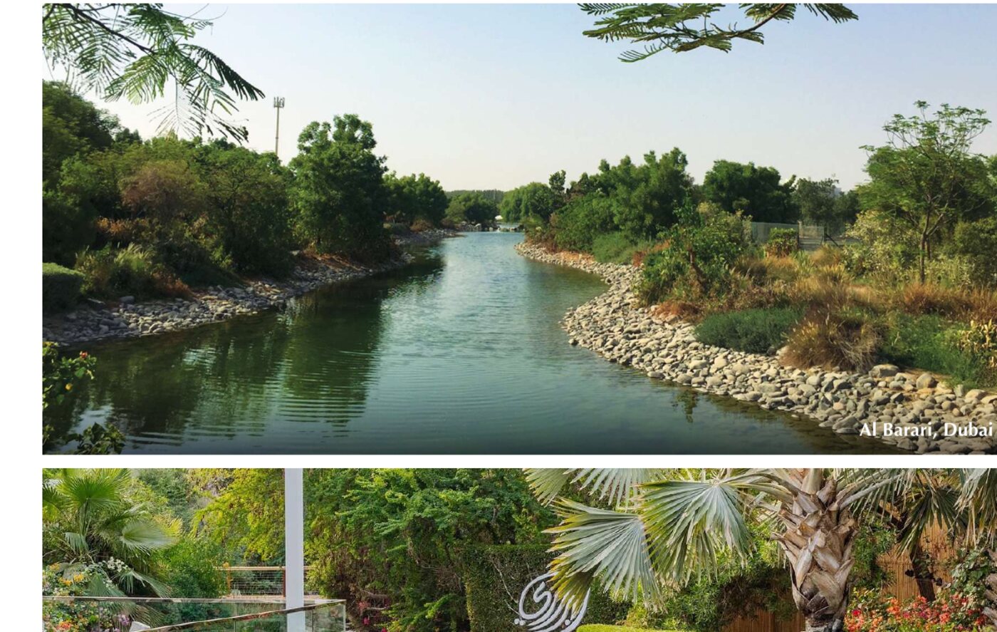 Delivered lagoon and villas at Al Barari, Dubai, by ZAYA
